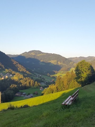 Themenweg Rotenberg-Wald in Lingenau