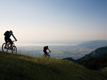 Radfahren mit Blick auf Bodensee im Rheintal