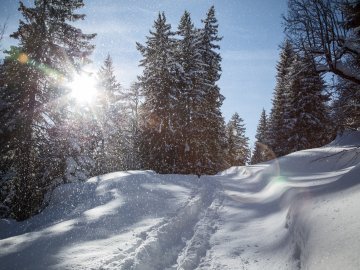 winterwandern-bartholomaberg-montafon-tourismus-gmbh-andreas-haller-152851.jpg