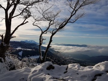 Brüggelekopf in Alberschwende im Winter