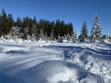 Winterwandern am Bödele in Vorarlberg