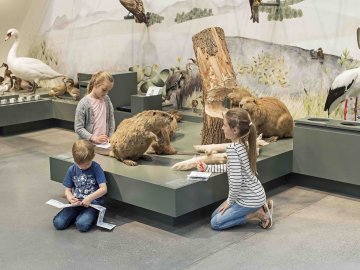 Naturmuseum in der Schweiz