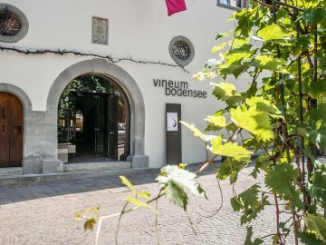 Vineum von aussen in Meersburg am Bodensee