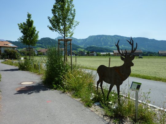 Naturmuseum Lingenau