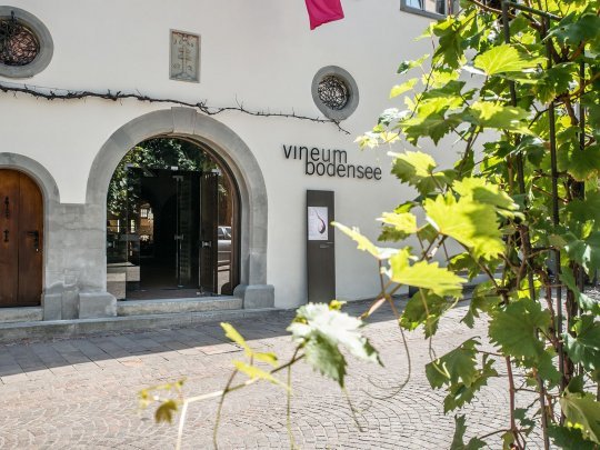 Vineum von aussen in Meersburg am Bodensee