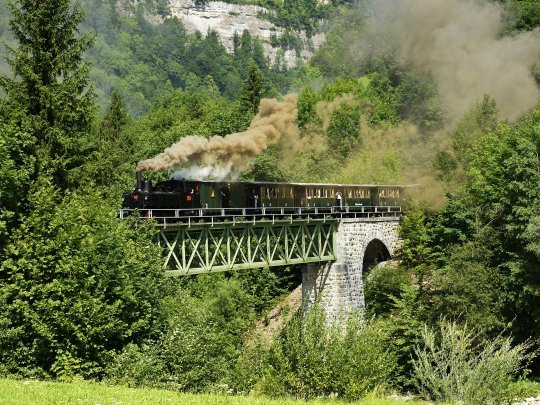 Wälderbähnle-Bregenzerwaldbahn(c)Friedrich-Böhringer-wikicommons-CC BY-SA 2.5.JPG